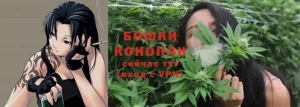 ALPHA PVP Рославль