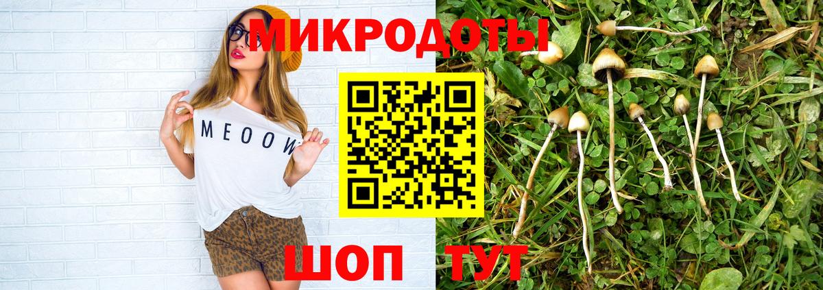 Кропоткин  Галлюциногенные грибы мицелий  Псилоцибиновые грибы ЛСД  Вход с VPN 