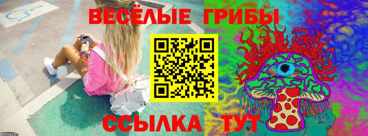 Псилоцибиновые грибы мицелий Кропоткин